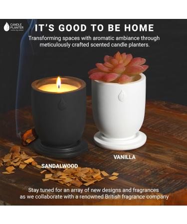 Concrete Cement Candle Planter | Aromatherapy Soy Candles | 8 Oz Black Sandalwood | Strong Scented Home Decor | 50 Hour Burn Time - Buy Online on GoSupps.com