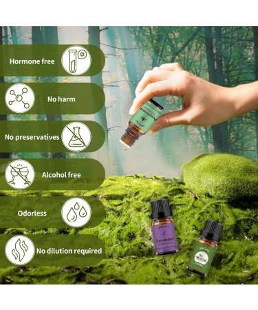 Vanilla Lavender Peppermint Essential Oils Set 100% Pure Premium Grade Natural Aromatherapy Oil Gift kit for Diffusers Home Care Candle Making Fragrance Aromatherapy Humidifiers Vanilla + Lavender + Peppermint 10.00 ml (Pack of 3) - Buy Online on GoSupps.com
