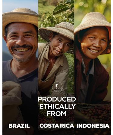 Lucky Cuppa Liscio Blend - Medium Roast Arabica Coffee Beans - Whole Coffee Beans - Perfect Coffee Gifts for Coffee Lovers - Coffee Beans 1kg - Buy Online on GoSupps.com