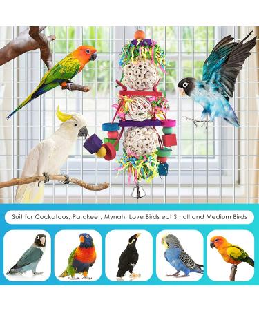 Bissap Conure Toys - Foraging Shredder Hanging Toy with Sola Balls and Bell for Small Parrots, Parakeets, Conures, Cockatiels, Love Birds - Cage Toy - Buy Online on GoSupps.com