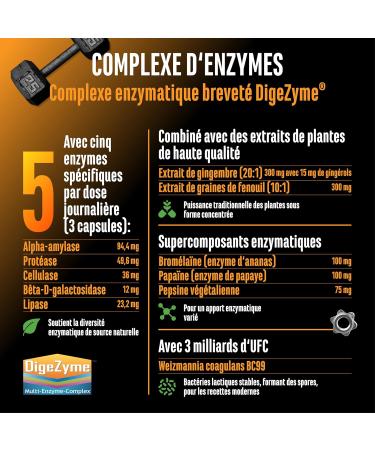 Complexe enzymatique - Enzymes digestives avec DigeZyme brevet brom la ne pepsine papa ne extraits v g taux et bact ries lactiques - Hautement dos v g talien - 120 g lules - Buy Online on GoSupps.com