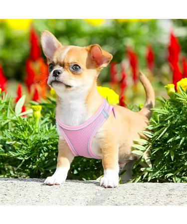 Buy Heele Dog Harness for Small Dogs - No Pull Breathable Adjustable Reflective - Perfect for Training & Running - Rosa Size L - Buy Online on GoSupps.com