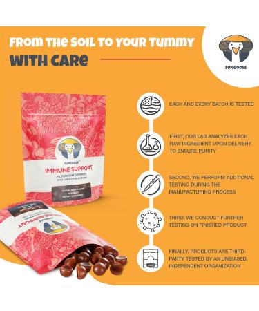 FunGoose Mushroom Gummies Complex - Immune Support Supplement with 10 Mushrooms Extract - 60 Vegan Chews (30 Servings 2500mg) - Buy Online on GoSupps.com
