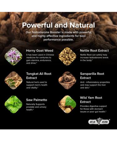 Testosterone Booster for Men - Enhance Stamina, Endurance & Strength - 60 Capsules - Buy Online on GoSupps.com