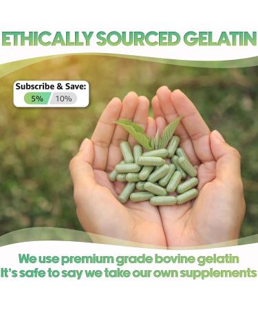 XPRS Nutra Size 00 Gelatin Empty Capsules - 1000 Count - DIY Supplement Filling - Clear Separated Empty 00 Capsules - Buy Online on GoSupps.com