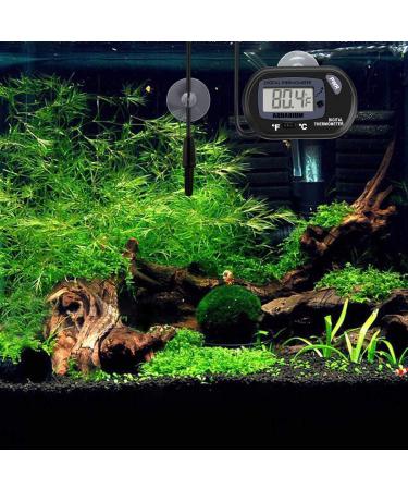 Neptonion Aquarium Thermometer - LCD Digital Fish Tank Temperature Monitor with Suction Cup for Reptiles - Buy Online on GoSupps.com