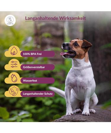 Animal Vita Premium Teck Neck Band for Small Dogs - Waterproof Size Adjustable 8 Months Tick Protection - Buy Online on GoSupps.com