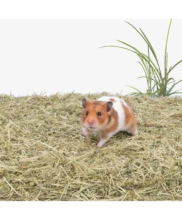 Niteangel Natural Soft Hamster Bedding Mix 5L - Ideal for Syrian Dwarf Hamsters, Gerbils, Mice, Degus, Bunnies & Small Pets - Timothy & Coco Blend - Buy Online on GoSupps.com