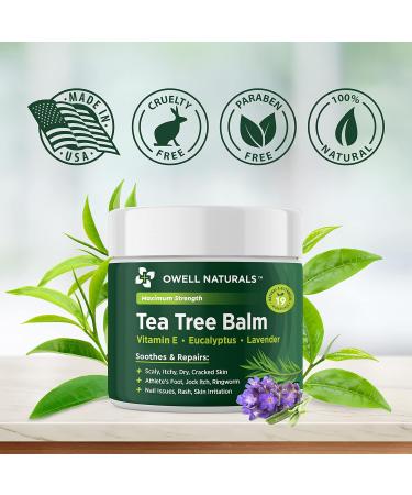 OWELL NATURALS Tea Tree Balm Oil 2oz - Soothes Acne Itchy Skin & Rashes - Vitamin E Paraben-Free Multi-Use for Insect Bites & Burns - Buy Online on GoSupps.com