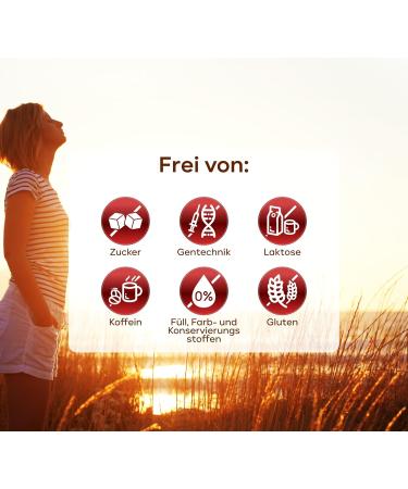 13-Fold Liver Cure - 120 Liver Capsules with Milk Thistle Artichoke & Dandelion - International Shipping Available - Buy Online on GoSupps.com