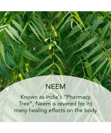 SUND RI Neem Night Cream - Nourishing Overnight Moisturizer for All Skin Types | Buy Internationally - Buy Online on GoSupps.com