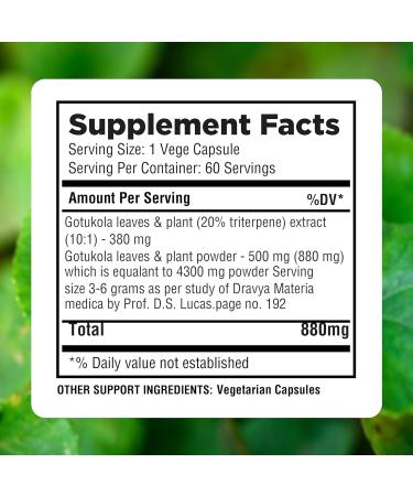 Herbsforever Gotu Kola (Centella Asiatica)-Extra Strength(10:1) Extract Equiv. to 4300 mg Leaves & Plant Powder Per Serving Support Cognitive Memory Focus Calm Skin |60Veg Capsules|800mg|Adaptogen - Buy Online on GoSupps.com