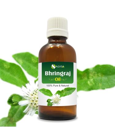 Salvia Bhringraj Oil (Eclipta alba) 100% Pure & Natural - Undiluted Uncut Cold Pressed Premium Oil Use for Aromatherapy Skin Care & Hair - Therapeutic Grade (15ml (0.50 Fl Oz))