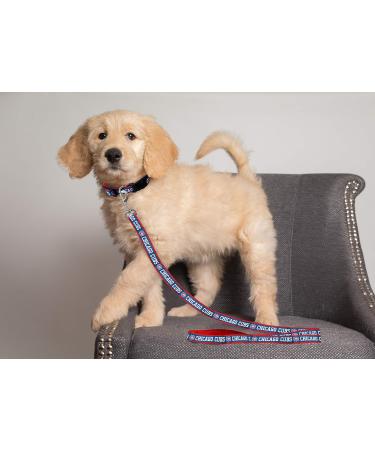 Shop Pets First MLB Chicago Cubs Pet Leash - Durable Stylish & Perfect for Cubs Fans | Fast International Shipping - Buy Online on GoSupps.com