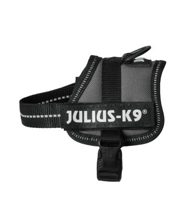 K9 Powerharness Size: 3XS/Baby 1 Anthracite 3XS/Baby 1 Anthracite - Buy Online on GoSupps.com