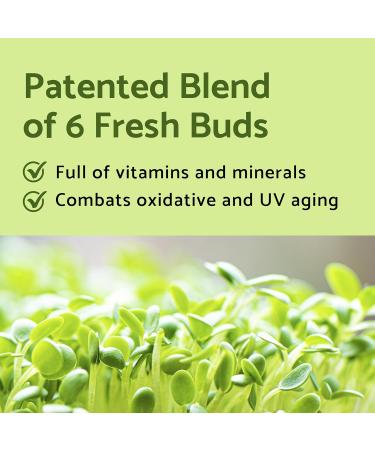 iUNIK Centella Mini Set | Travel-Friendly Skincare for Sensitive Skin | Ultra Calming & Hydrating | Tea Tree Relief Toner Serum & Calming Gel Cream - Buy Online on GoSupps.com