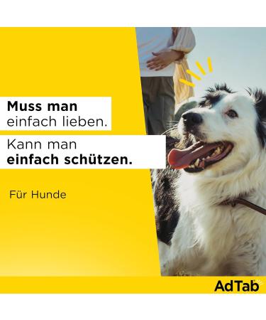 Sparset Double Pack Pass Dogs Tick & Flea Protection - Chewing Tablets for 5.5 to 11 kg Dogs | Fast-Acting Monthly Defense | Easy Administration | Savings Set - Buy Online on GoSupps.com