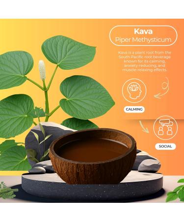 Botanical Brewing Peach & Orange Mix Duo - Kava Drink with Kava Root Extract | Refreshing & Sparkling Kava Seltzer | Alcohol-Free Vegan & Low-Calorie Naturally Sweetened Agave 12 Fl oz Cans 4-Pack Peach & Orange Pack of 4 - Buy Online on GoSupps.com