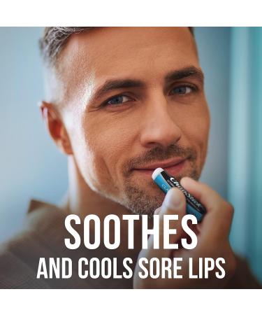 ChapStick Classic Medicated Lip Balm Tubes - Chapped Lips Treatment and Skin Protectant - 12 Pack - Buy Online on GoSupps.com