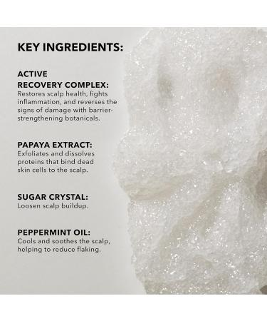 SUNDAY II SUNDAY Signature Scalp Balancing Scrub - Recovery Sugar Scrub for Dry Damaged Scalp | Fresh Hair Care | 8.4 fl oz - Shop Internationally - Buy Online on GoSupps.com