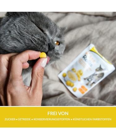 GimCat Cheese Rollis - Grain-Free Vitamin-Rich Cat Snack with Real Hard Cheese - Pack of 6 (140g Each) for International Shipping - Buy Online on GoSupps.com