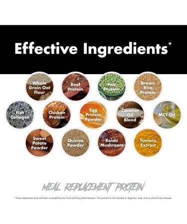 Buy Meal Replacement Protein Shake - Chocolate Flavor 25 Servings | Whole Food Nutritional Shake for Weight Loss & Energy - Buy Online on GoSupps.com