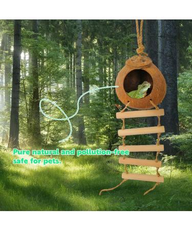 Aobuviou Gecko Coconut Husk Hut Coconut Bird Nest Reptile Coconut Hide with Ladder Natural Reptile Hideouts Bird Coconut Shell Coconut Hide for Reptiles Bird Small Animal - Buy Online on GoSupps.com
