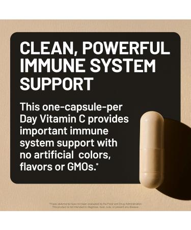 NatureWise Vitamin C 1000mg Capsules - Extra Strength Vegan Vitamin C for Daily Antioxidant & Immune Support - Non-GMO USA Manufactured - 120 Capsules 120-Day Supply Unflavored 120 Count (Pack of 1) - Buy Online on GoSupps.com