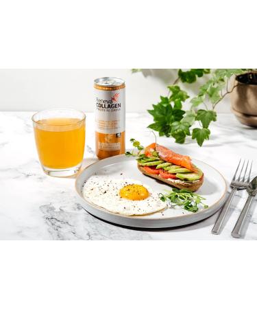 Reneva Collagen Protein Drink 10g Collagen Peptides Electrolytes B-Vitamins Zinc and Zero Sugar - 8.45 Oz - Pack Of 12 - Buy Online on GoSupps.com