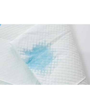 REMEDIES Underpads Disposable Super Absorbent Bed Protection - Large 30 X 36 - 85g 3g SAP - 50 Count (Pack of 1) - Buy Online on GoSupps.com