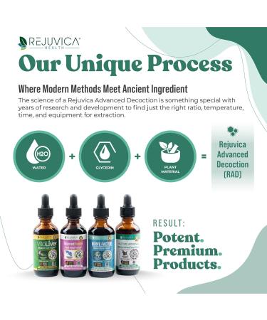 Rejuvica Health Active Adrenal - Advanced Adrenal Support Tincture - Liquid Delivery for Better Absorption - Ashwagandha B-Vitamins Magnesium and More 2 Fl Oz (Pack of 2) - Buy Online on GoSupps.com