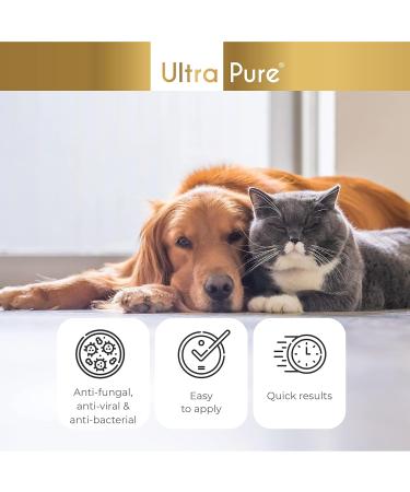 MaxiVet Wound Spray - Antibacterial and Antifungal Solution with Hypochlorous Acid - 200ml - Buy Online on GoSupps.com