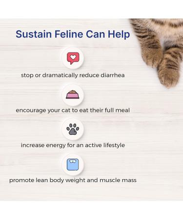 EMERAID Sustain HDN: Life Saving Nutrition for Cats | Non-GMO & Human Grade Ingredients - Buy Online on GoSupps.com