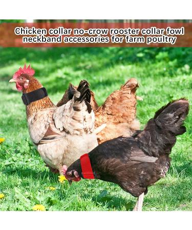 6-Piece Anti-Crow Rooster Collar - Nylon Neck Belt to Prevent Chicken Noise and Disturbance - Buy Online on GoSupps.com