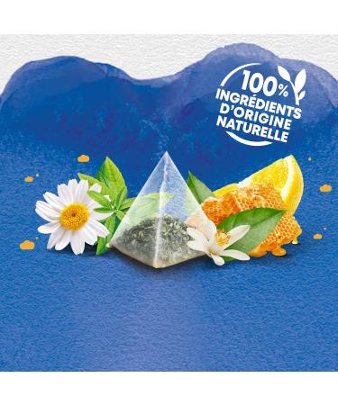 Elephant Quiet Night Infusion Honey Verbena Orange Leaf and Chamomile Taste 100% Natural Origin Ingredients 20 Pyramid S - Buy Online on GoSupps.com