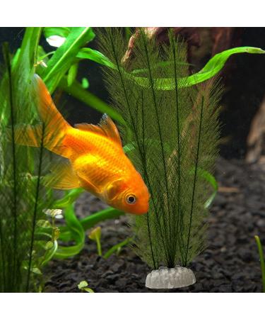 Buy Aquarium Plants Decoration - Lifelike Plastic & Artificial Aquatic Plants for Stunning Aquarium Decor - Buy Online on GoSupps.com