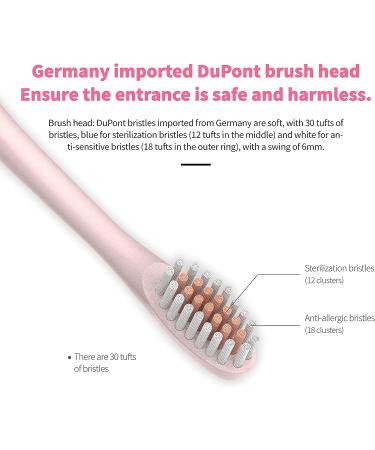 BIUSIKAN Sonic Electric Toothbrush - USB Rechargeable with 4 Brush Heads, 6 Modes & Smart Timer for Adults - Pink - Buy Online on GoSupps.com