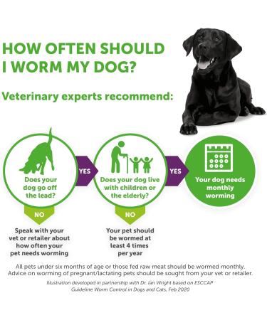 RS Pet Bayer Drontal Worming Tablet for Dogs Pack of 2 tablets Big - Buy Online on GoSupps.com