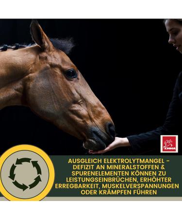 Emma Electrolyte Horse Paste with Vitamins - B Complex Sodium Potassium & Magnesium for Recovery Diarrhea Relief & Mineral Support - Buy Online on GoSupps.com