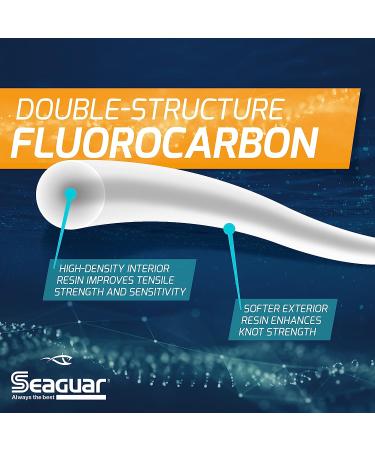 Seaguar Tatsu 6lb 200yd Fluorocarbon Fishing Line - Strong, Supple, Premium Quality - Buy Online on GoSupps.com