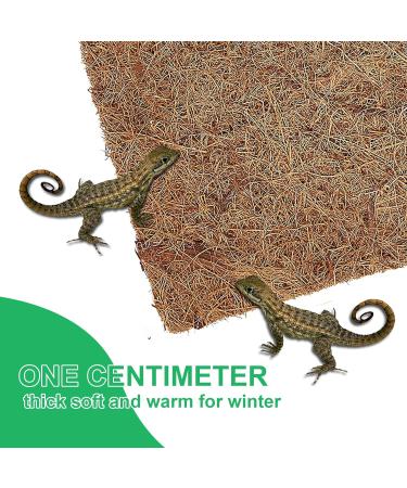 Midyrrg 2 Rolls Reptile Carpet Coconut Fiber Bearded Dragon Substrates Snake Tortoise Bedding Matting Tortoise Substrate Pet Terrarium Liner for Reptiles Lizards Anoles Turtles (50x30cm) - Buy Online on GoSupps.com