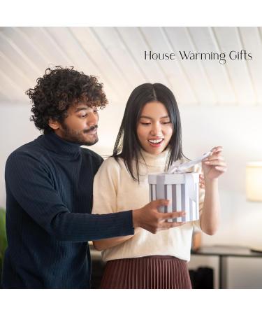 Tigers Eye Crystal Money Tree - Feng Shui Decor for Good Luck & Prosperity - Buy Online on GoSupps.com