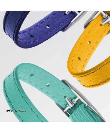 Collardirect Leather Cat Neck Band - Safety Collar for Cats with Elastic Belt & Bell | Adjustable 23-28 cm in Black Blue Red Orange Green Pink Yellow - Buy Online on GoSupps.com