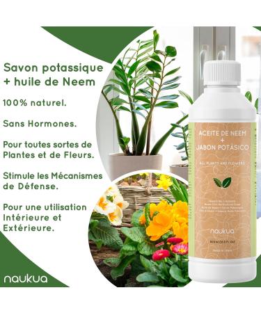 500ml L'huile de neem et savon de potassium Concentr - 100% Naturel Ecologique - Am liore et active les d fenses naturelles des plantes d'int rieur et d'ext rieur - Agit rapidement et efficacement - Buy Online on GoSupps.com