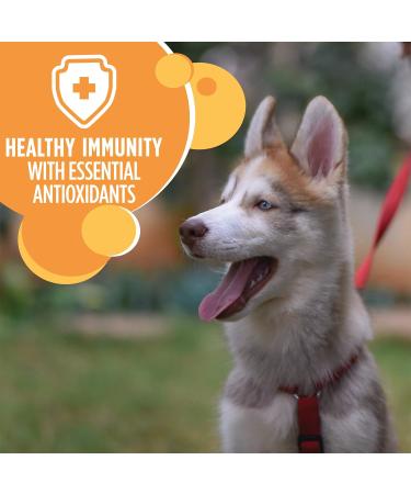 IAMS Adult Large Breed Dry Dog Food - Chicken and Whole Grains Recipe 6.80kg (15LB) Bag & Puppy Large Breed Dry Dog Food - Chicken and Whole Grains Recipe 6.80kg (15LB) Bag Dog Food + Dog Food 10171670 6.80 kg (Pack of 1) - Buy Online on GoSupps.com