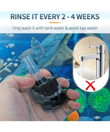 Pawfly Nano Bio-Sponge Filter Kit for Small Aquariums (4-12L) - Quiet Betta & Shrimp Foam Filter with Airline Hose - Buy Online on GoSupps.com