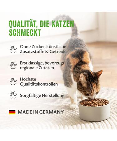 Mera Cat Sensitive Adult Insect Food 2kg | Grain-Free Sustainable Dry Food with Insect Protein for Sensitive Cats - Buy Online on GoSupps.com