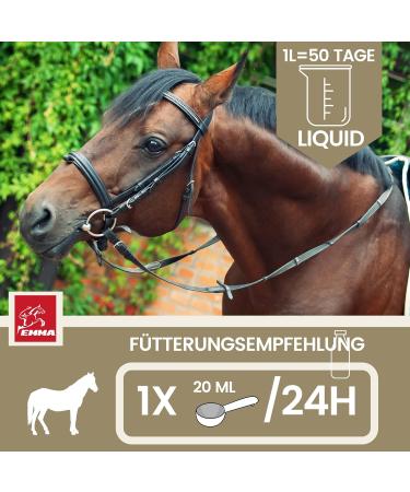 Vitamin B Complex for Horses - 1L Liquid | High Dose B1 B2 B6 B12 | Supports Muscles Immune System Nerve Energy & Metabolism - Buy Online on GoSupps.com