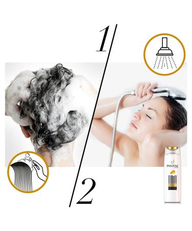 Pantene PRO-V Anti-Scales Shampoo 300ml (2-Pack) | Pro-V Formula + Antioxidants for All Hair Types - Buy Internationally - Buy Online on GoSupps.com