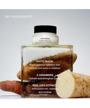 Knours. Phyto Mucin Skin Barrier Moisturizer with Phyto Mucin 6 Ceramide Complex & Hyaluronic Acid Rice PDRN Balanced Supple Radiant Skin 50ml - Buy Online on GoSupps.com